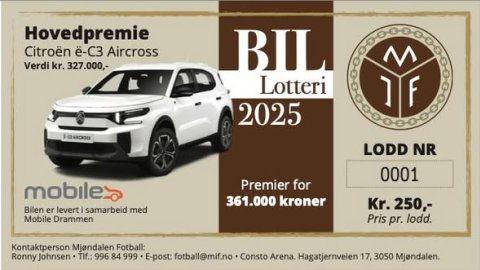 Julegaven til den som har alt?